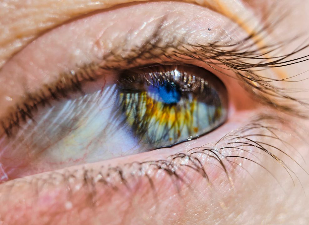 theme-3-split-content-1